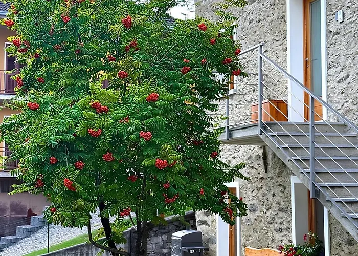 Ca' Berti Teglio